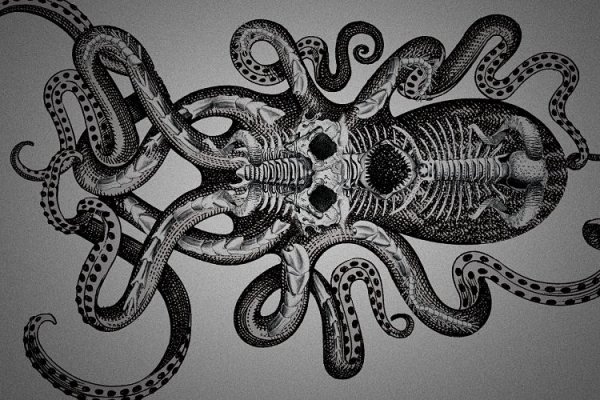 Кракен тор krakens13 at