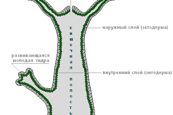 Как найти kraken