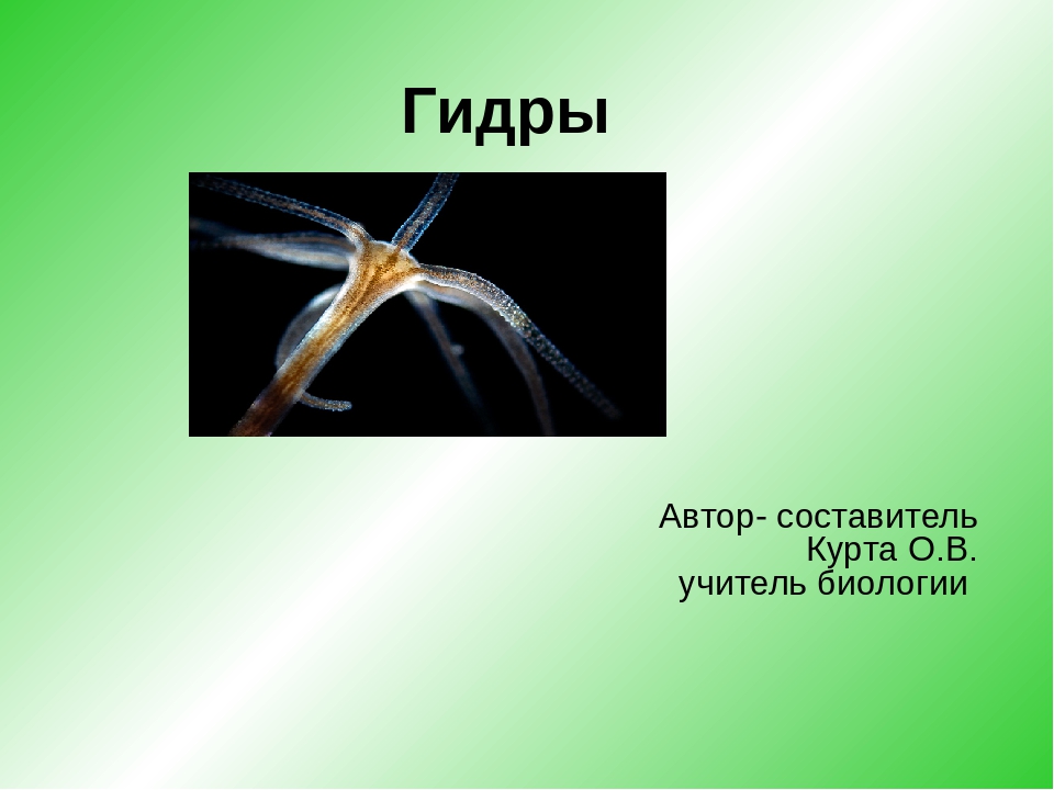Кракен портал